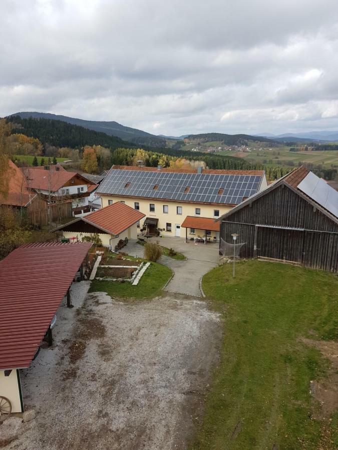 Gut Steinhuegel Apartment Bischofsmais Exterior photo